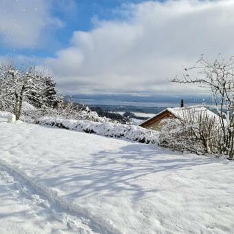 Mont Blanc Chalet