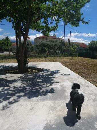 Cartepostale Sweet Home