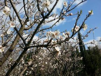 Agroturismo I Cedri Agriturismo