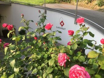 Apartamento Lachgut