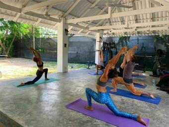 Ver fotos