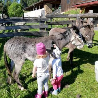 Agroturismo Erlebnisbauernhof Steinerhof
