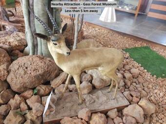 Hotel Townhouse 937 The Grand Hospitality