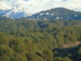 Apartamentos Tur�sticos Cumbres Verdes