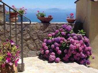 Bed & Breakfast Guest House Mal�