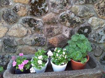 Holiday Home Salva