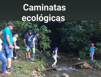 Ver fotos