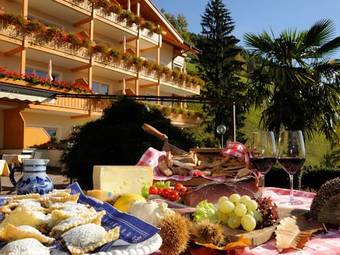 Hotel F�rstenhof