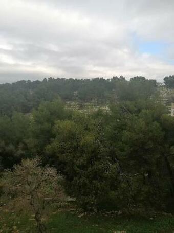 Apartamento ?? ??? ??????? ????????