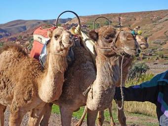 Hotel Kasbah Angour