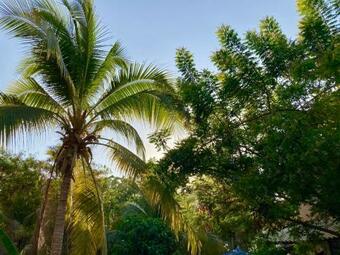 Hotel Greenery