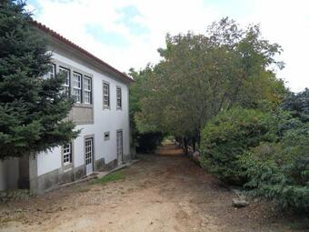 Quinta Do Bento Novo - Casa De Campo - Turismo Rural