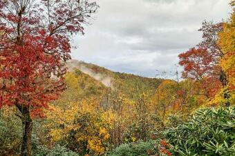 Quiet And Tranquil Spruce Pine Cabin With Views!
