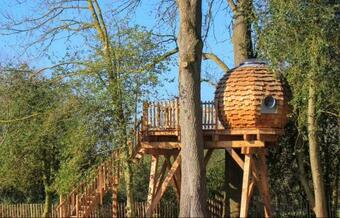 Cabane Sur Pilotis
