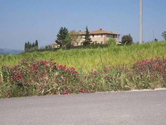Agroturismo Agriturismo Il Torrione
