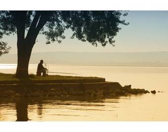 Stefan Apartments