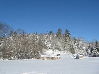 Grand Pine B&B