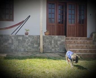Ver fotos