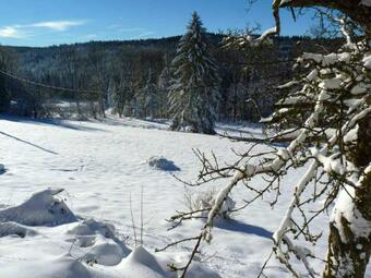 Maison De 7 Chambres Avec Jacuzzi Jardin Et Wifi A Arrentes De Corcieux