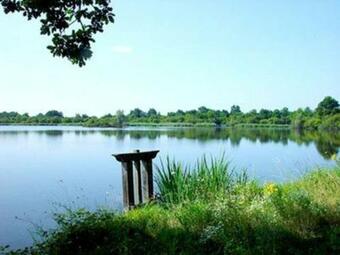 Ver fotos