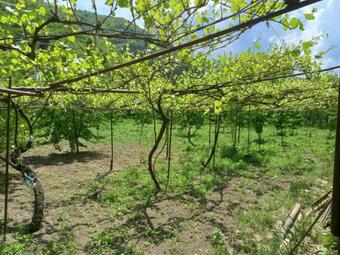 Hostal ???????? ??? ?????????