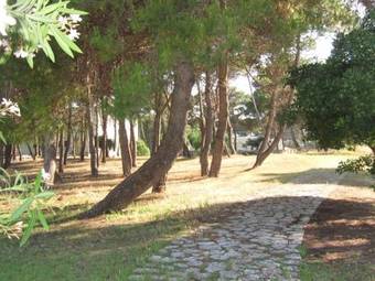 Hostal Oasi Di Roca