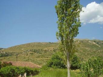 Ver fotos