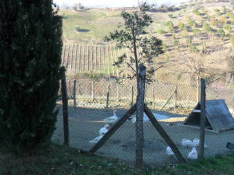 Agroturismo Agriturismo Alla Solagna
