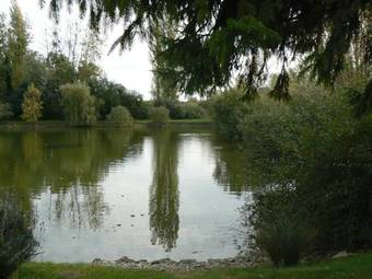 Leau Berge