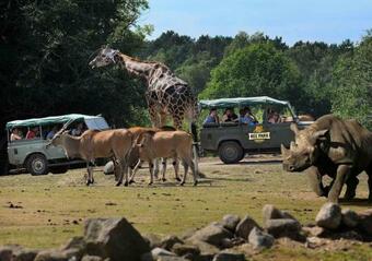 Agroturismo Ree Park Safari