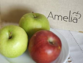 Garni Hotel Amelia