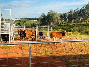 Redhill Acres