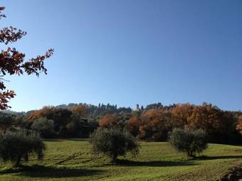 Holiday Home Podere Schioppello