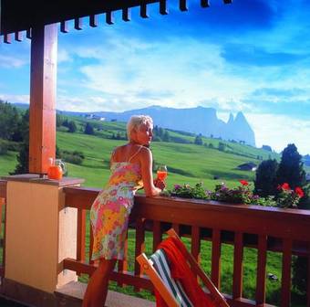 Hotel Steger-dellai