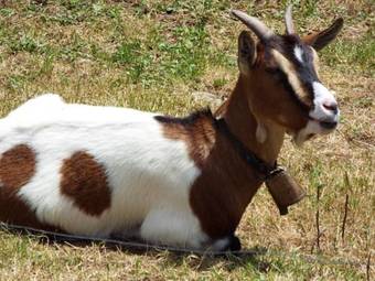 Apartamento La Riguera De Ginio