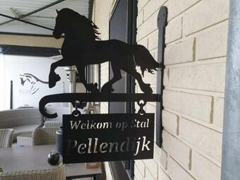 Agroturismo Luxe Gastenkamer Met Living En Keuken Bij Friezen Paarden Stal Pellendijk