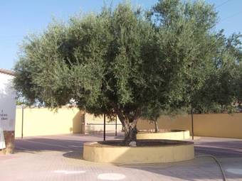 Hotel Mes�n Del Moro