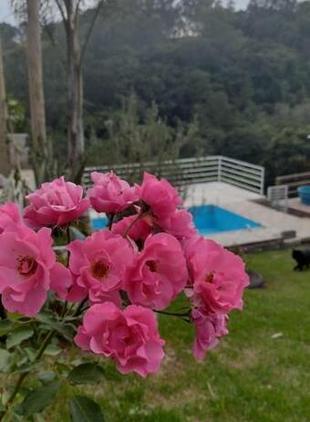 Ver fotos
