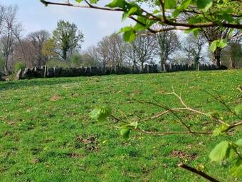 Bed & Breakfast Le Petit Bois Normand - Chambre D'hote