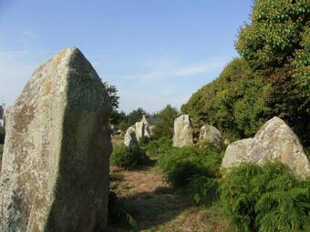 Ver fotos