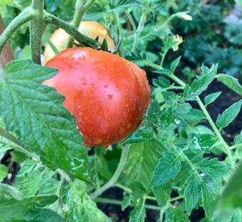 Villa Casaleite Santeny