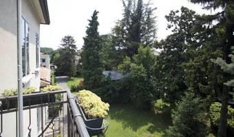 B&B Brandolese