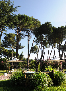 Hotel Salus Terme