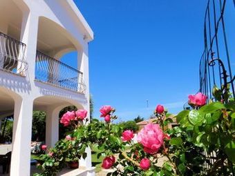 Hotel La Tartaruga Bianca