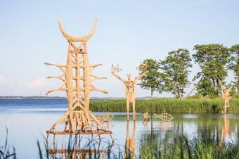 Ver fotos