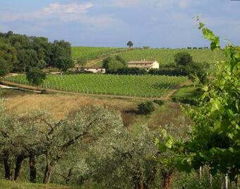 Agroturismo Agriturismo Gli Olmi