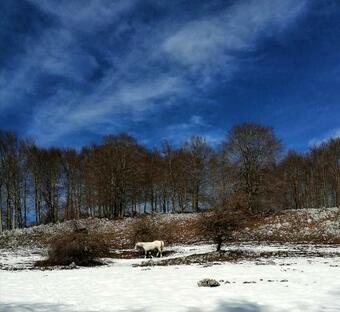 Apartamento Le Rocce