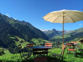 Hotel Alpina