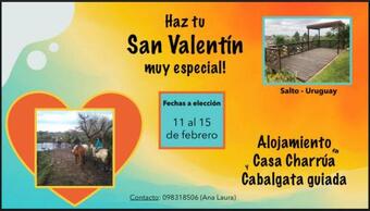 Ver fotos