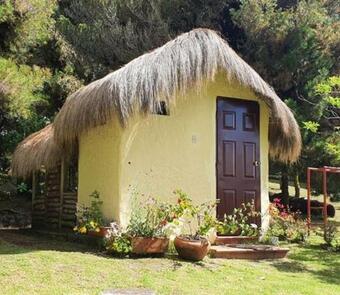 Glamping Verde 360